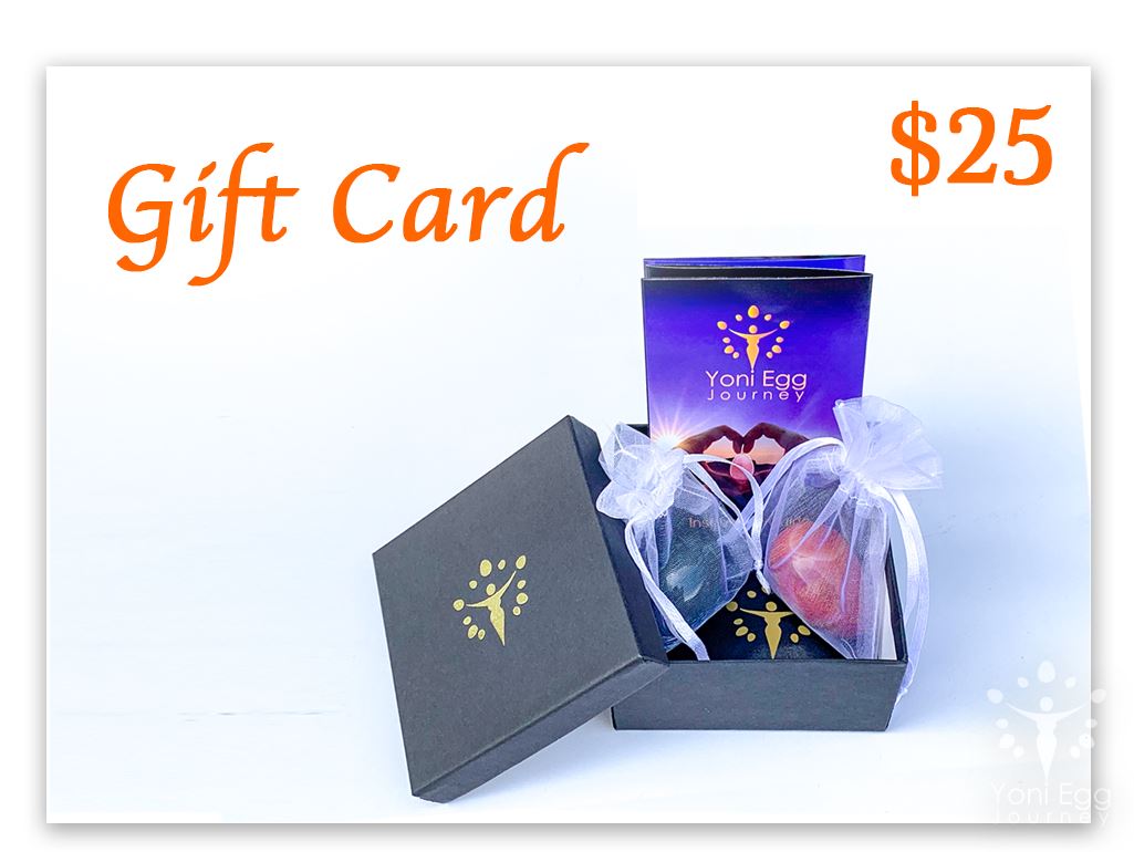 Gift Card Gift Card YE Journeys $25.00 